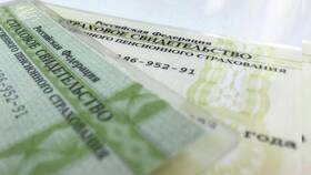Что делать, если не помнишь СНИЛС в Цвет Диванов