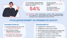 Что такое ОСАГО в Цвет Диванов