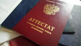Что такое серия паспорта РФ в Цвет Диванов