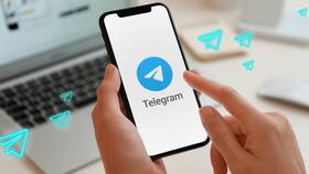 Как добавить контакт по QR-коду в Telegram в Цвет Диванов