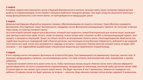 Как называется процессуальный документ в Цвет Диванов