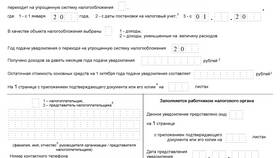 Как подавать документы в налоговую в Цвет Диванов