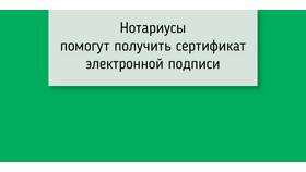 Как подписать выписку ЕГРН электронной подписью в Цвет Диванов