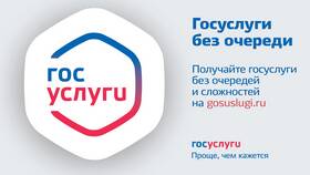 Как получить технические условия через Госуслуги в Цвет Диванов