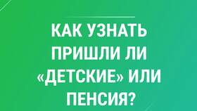 Как посмотреть пенсионные выплаты в Сбербанке в Цвет Диванов