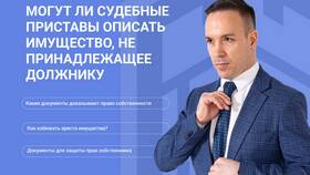 Как происходит арест имущества судебными приставами в Цвет Диванов