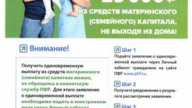 Как сдать отчет в Пенсионный фонд России (ПФР) в Цвет Диванов