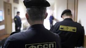 Как судебные приставы арестовывают имущество в Цвет Диванов