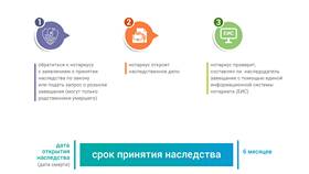 Как узнать поданный документ в Цвет Диванов