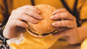 Калорийность Чикенбургера из Burger King в Цвет Диванов