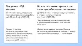 Мой налог для самозанятых: инструкция по применению в Цвет Диванов