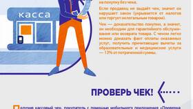 Почему налоги России распределяются через казначейство в Туле в Цвет Диванов