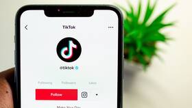 Почему не получается отправить стикер в TikTok в Цвет Диванов