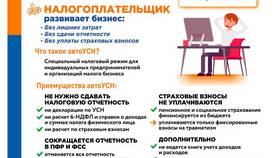 Подоходный налог: структура и состав в Цвет Диванов