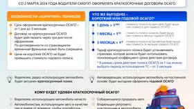 Зачем нужен полис ОСАГО для такси в Цвет Диванов